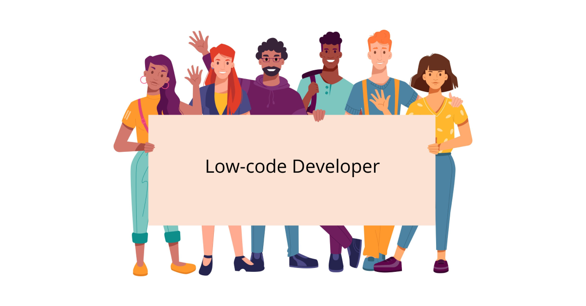 Low-code Developer